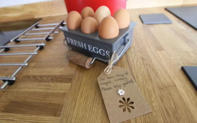 Springwood Shepherd Huts