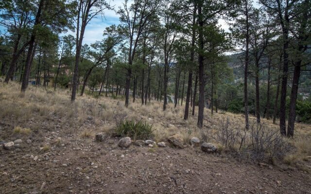 Hopkins - Three Bedroom Cabin