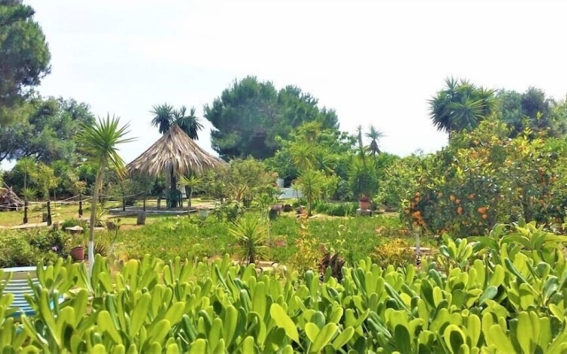 TETRAKTYS estate
