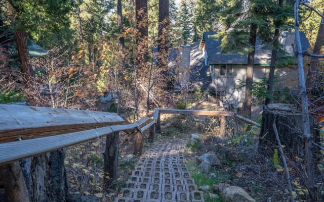 Yosemite Woods
