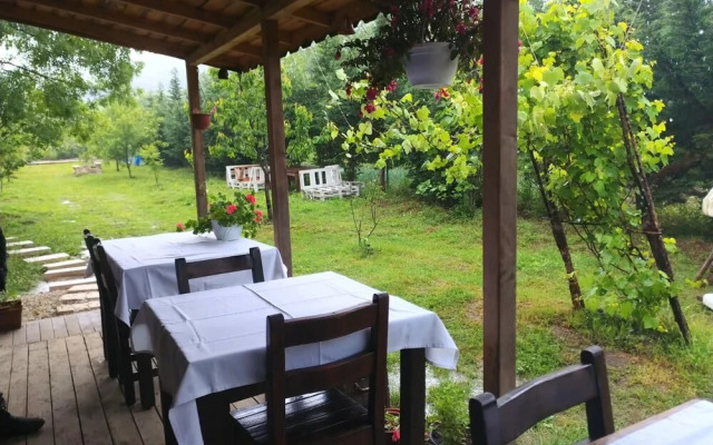 House With Backyard and Winter Garden in Agva