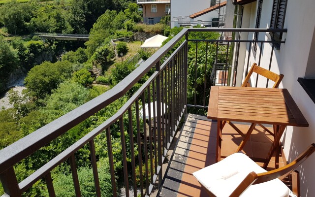 Glicine among vineyard