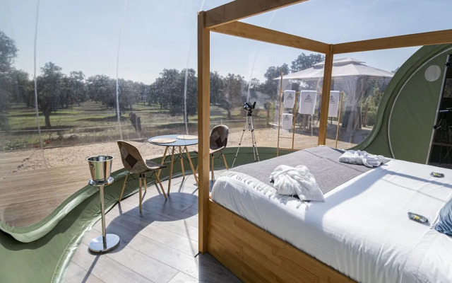 El Toril Glamping Experience
