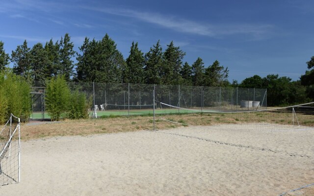 Cozy holiday home with terrace surrounded by vineyards