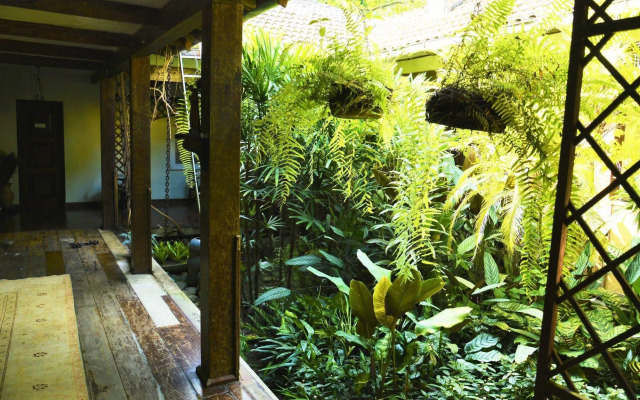 Rio Forest Games Hostel