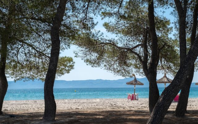 Sofia Alcúdia Beach