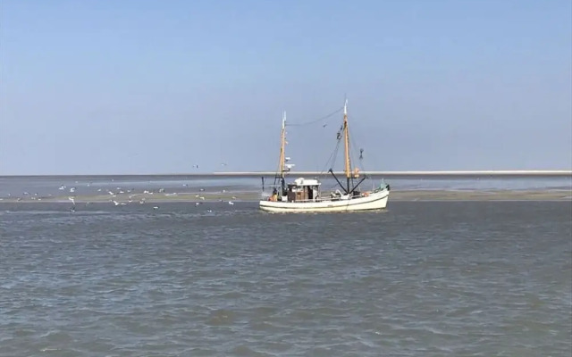 Graft View by the sea