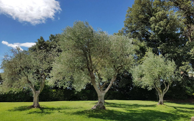 Villa Nencini