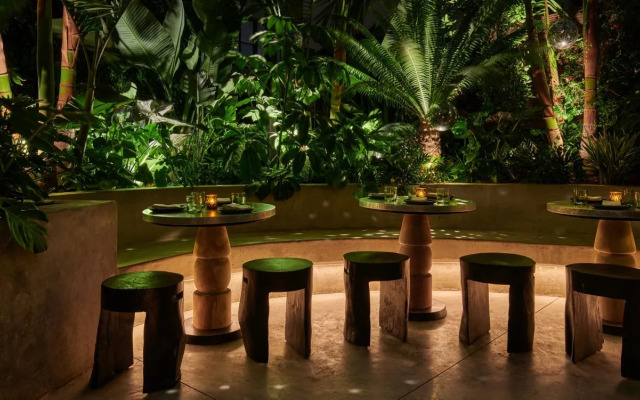 Hollywood Volume, a Tribute Portfolio Hotel