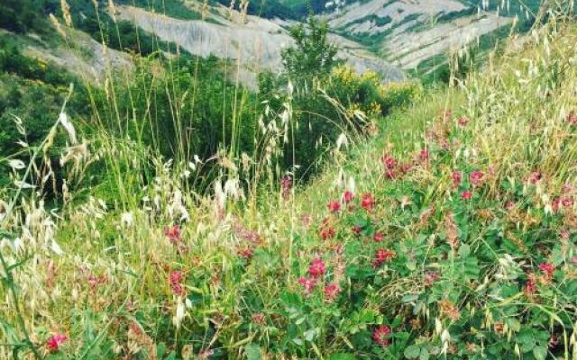 La Palazzina di Ciagnano