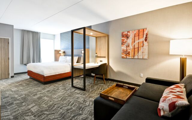SpringHill Suites by Marriott Cincinnati Blue Ash