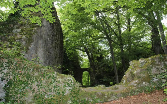 WASSERSTELZ Historisches Genusshotel & Restaurant am Rhein