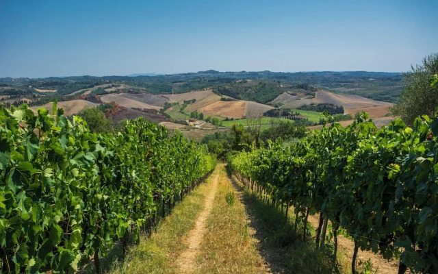 Amazing Chianti Site Olmo&pini Shared Poo