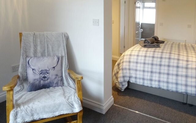 Lilys Pad