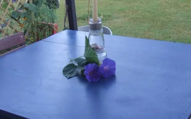 B&B Bentu Estu