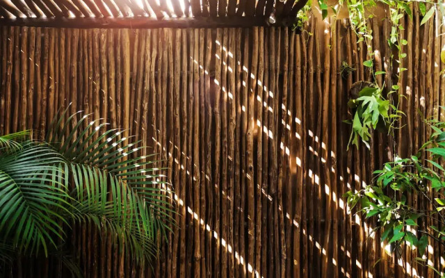 Mi Querido Tulum