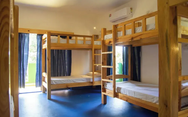Green Nest Hostel