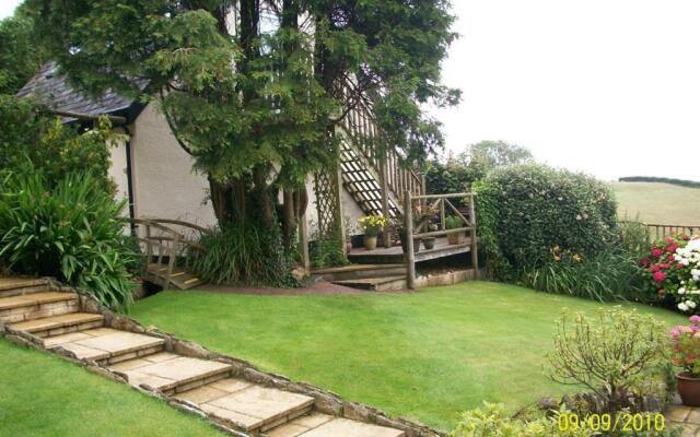 Frogwell