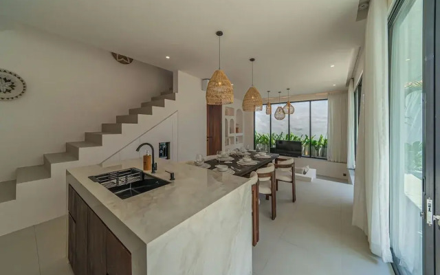 Nova Oasis 4