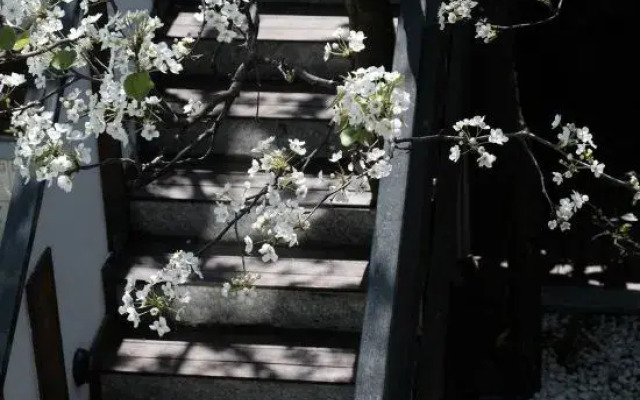 Dali Monet's Garden Retro Homestay