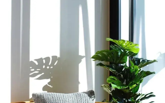 Shadow Play 2Bed Ocean View Apartment