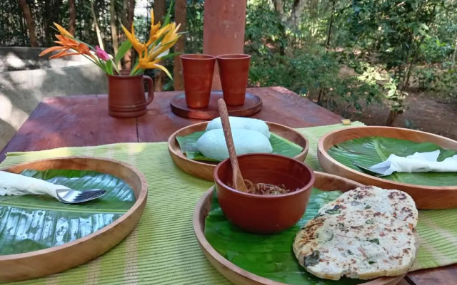 Dambulla Tree House