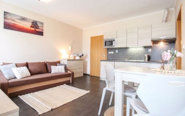 Apartmán B Harrachov