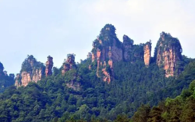 Yangjiajie Inn