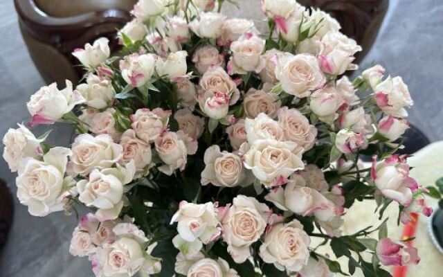 Yunyao Simple European Homestay (Sanyi International Airport)