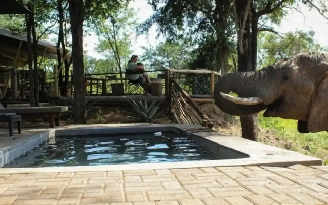 Khanya Conservation Camp