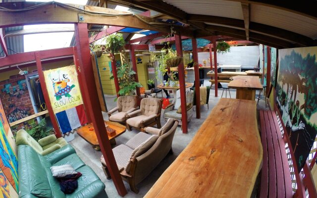 Bazil's Hostel & Surf School