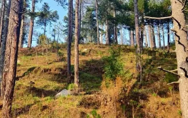 Emerald Woods Mukteshwar