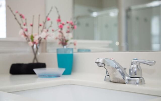 Solterra - 4103 Oaktree Drive