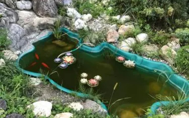 Teremok Guest House