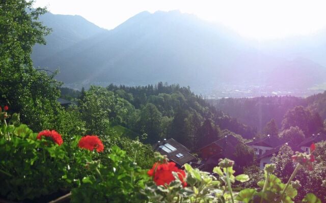 Charming Mansion Near Ski Area In Burserberg