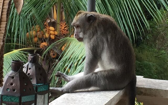 Griya Jungutan Homestay