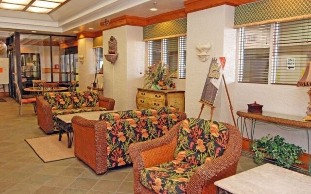 Ocean Forest 2001 by RedAwning