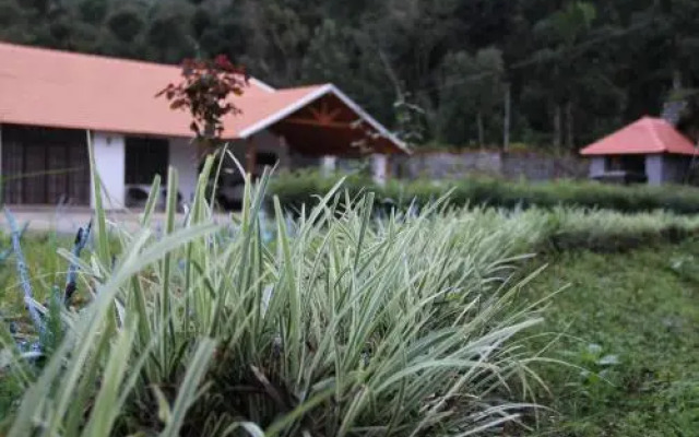 The Sattva - Nature Retreat