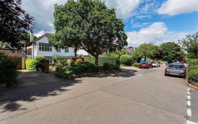 A Charming Richmond Garden