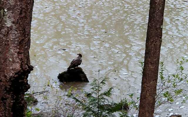 The Cabin at Moon Dance