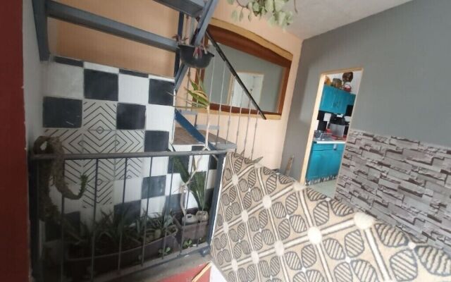 Suites Bugambilias Rooms Primavera Bosque