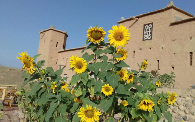 Kasbah Izoran
