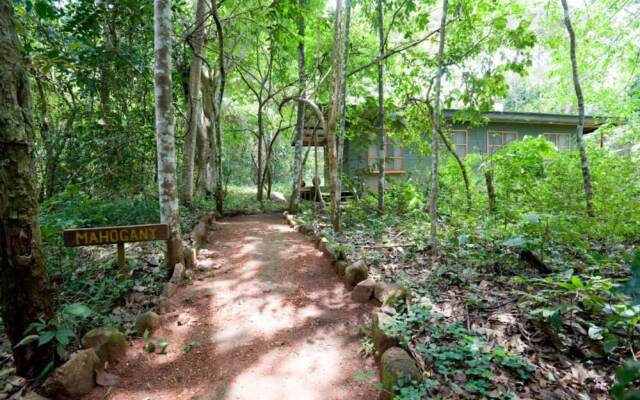 Budongo Eco Lodge