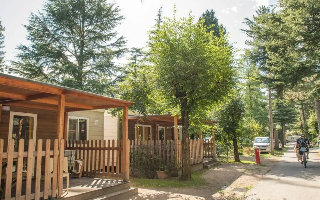 Camping Zoo