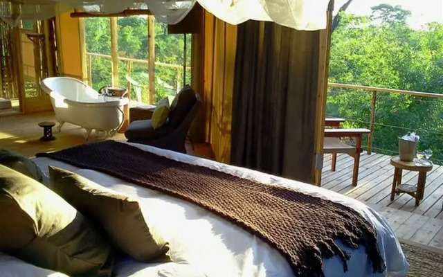 Miombo Safari Camp