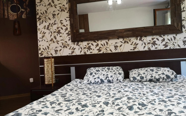 Studio Iceberg Borovets Студио с кухня