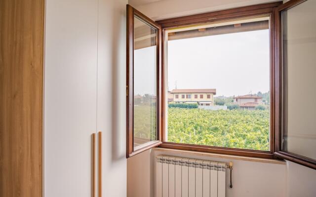 The House in the Vineyard - Italian Homing