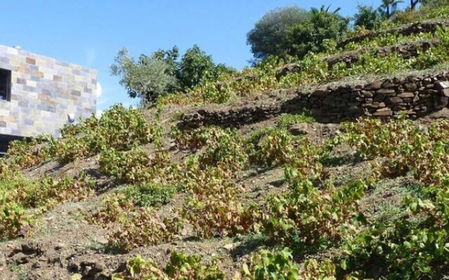 Casa Rural Cómpeta Piscina Barbacoa y Vista