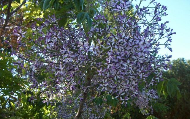 Sunset Private Eco-Villa Can Vey