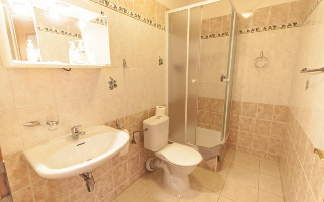 Pension Brezina Prague